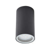 Forum Leto Porch or Ceiling Downlight Anthracite