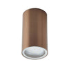 Forum Leto Porch or Ceiling Downlight Copper