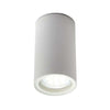 Forum Leto Porch or Ceiling Downlight White