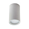 Forum Leto Porch or Ceiling Downlight White